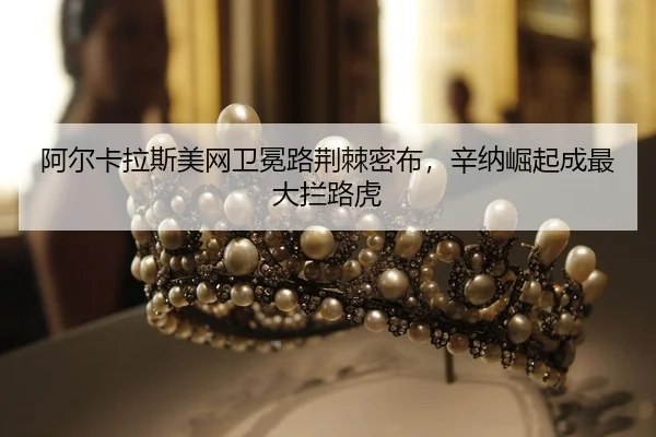 a-er-ka-la-si-mei-wang-wei-mian-lu-jing-ji-mi-bu-xin-na-jue-qi-cheng-zui-da-lan-lu-hu-2-831.jpg