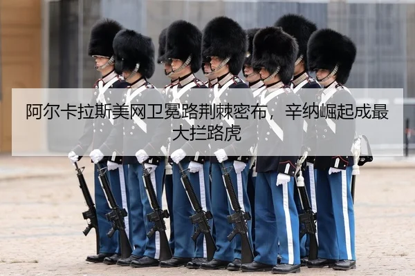 a-er-ka-la-si-mei-wang-wei-mian-lu-jing-ji-mi-bu-xin-na-jue-qi-cheng-zui-da-lan-lu-hu-3-468.jpg