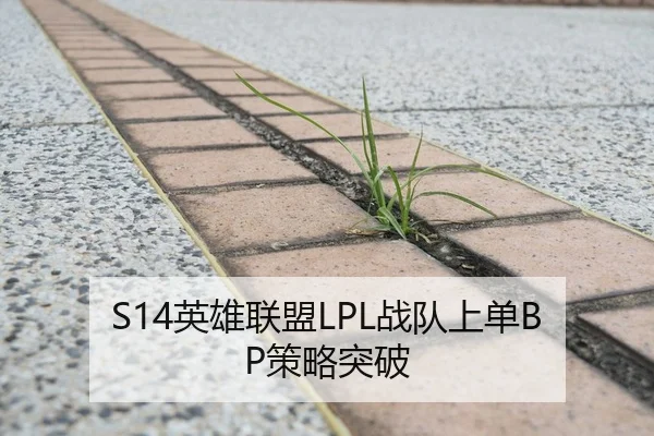 S14英雄联盟LPL战队上单BP策略突破