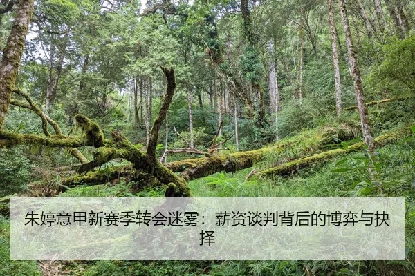 朱婷意甲新赛季转会迷雾：薪资谈判背后的博弈与抉择