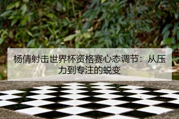 yang-qian-she-ji-shi-jie-bei-zi-ge-sai-xin-tai-tiao-jie-cong-ya-li-dao-zhuan-zhu-de-tui-bian-3-621.jpg