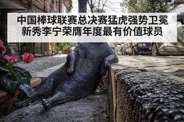 中国棒球联赛总决赛猛虎强势卫冕新秀李宁荣膺年度最有价值球员